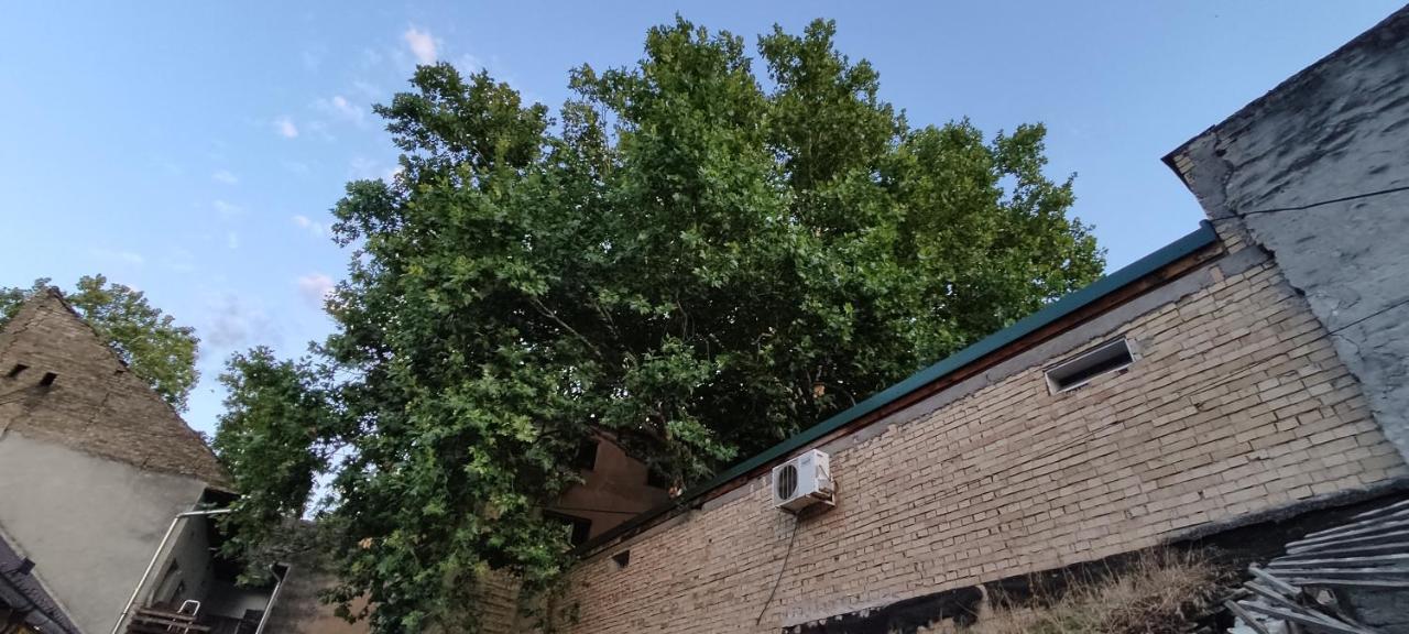 Apartmani Dld Ns Novi Sad Eksteriør bilde